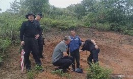 网友爆料坠楼案件最新消息,坠楼案件最新进展，疑点重重引关注